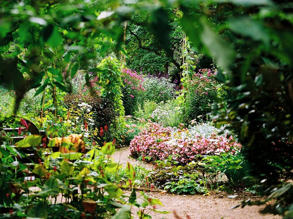 Gravel path winding through planted borders of pink flowers and green foliage