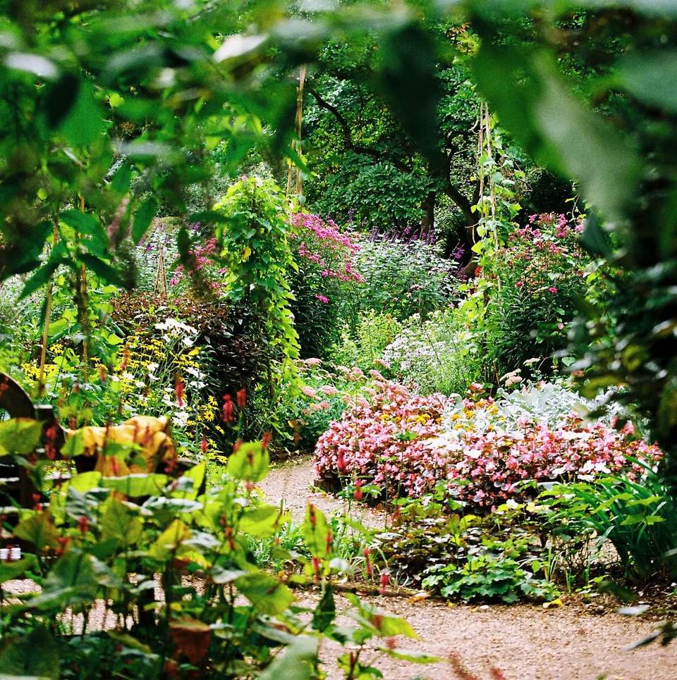 Gravel path winding through planted borders of pink flowers and green foliage